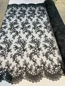 Lace Sequins Fabric - Corded Flower Embroidery Design Mesh Fabric - 25 Yard Roll