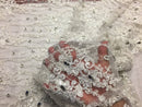 Beaded Lace Fabric - White - Fancy Embroidery on Mesh For Bridal Wedding Dress Sold By The Yard