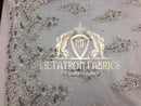 Lace Fabric - Silver  - Corded Flowers Embroidery With Sequins On Mesh Sold By The Yard